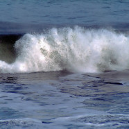 Let’s go surfin now
